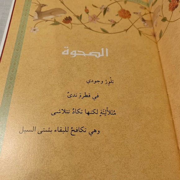 Healing Light Arabic Edition by Borchgrave - Picture 5 of 11